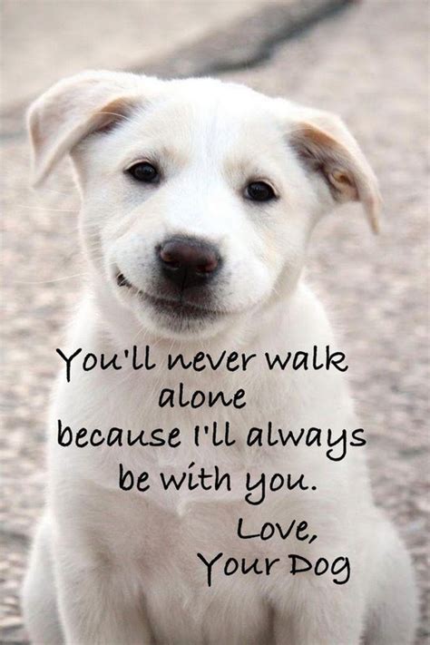 Inspirational Dog Quotes And Sayings. QuotesGram