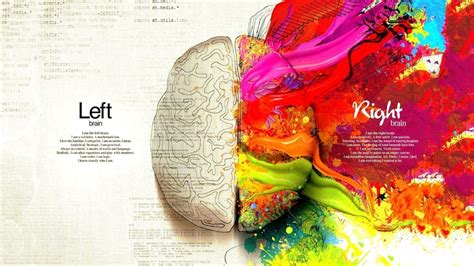 Left or Right Brain | Left brain right brain, Brain painting, Right brain