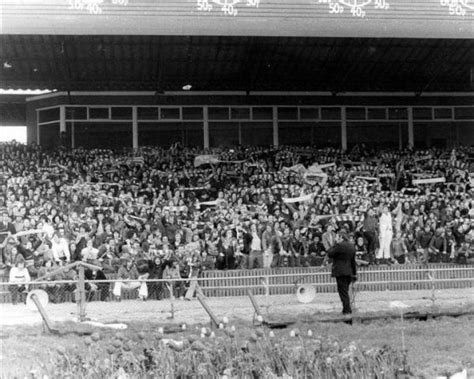 Image - The Famous Tote End...Early 1970s.jpg | Gasopedia - Bristol Rovers Wiki | FANDOM powered ...