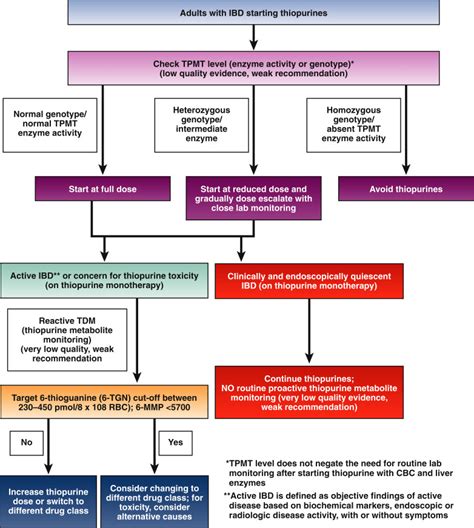 Therapeutic drug monitoring in inflammatory bowel disease (IBD ...