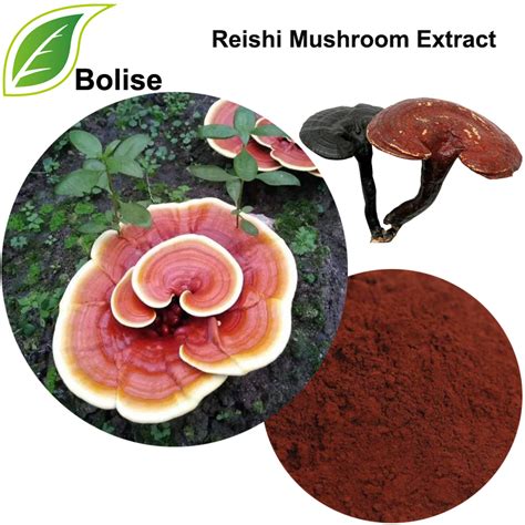 Reishi Mushroom Extract Powder,Reishi Mushroom Extract Powder Suppliers ...