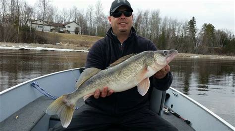 March Ice Fishing and Rainy River Fishing Update - Lake of the Woods