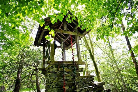 The Grounds, Woodland & Waterfall at Rydal Hall