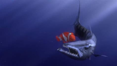 Finding-nemo-disneyscreencaps.com-291 by milla-lilla on DeviantArt