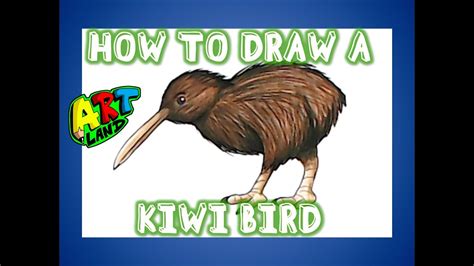 Kiwi Bird Drawing Outline