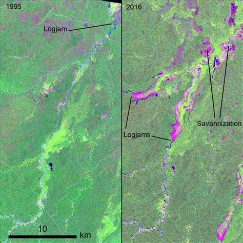 SOIL - Relations - An insight into pre-Columbian raised fields: the case of San Borja, Bolivian ...