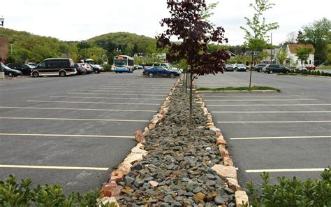 Trends in Parking Lot Design - Larson Design Group | Outdoor landscaping, Parking design, Curb ...