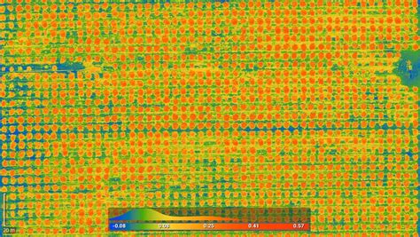 Drone mapping in agriculture: crop protection and production solutions | Pix4D