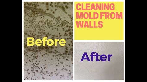 How To Remove Mold From Walls Drywall You