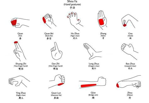 Wushu - way of life: Different punch formats