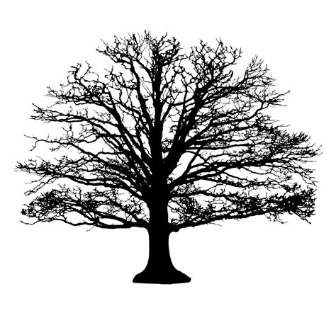 Tree Clipart