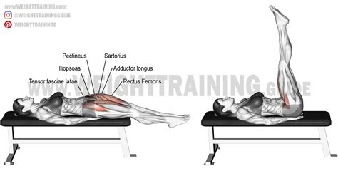 Lying straight leg raise exercise instructions and video | Leg raise ...