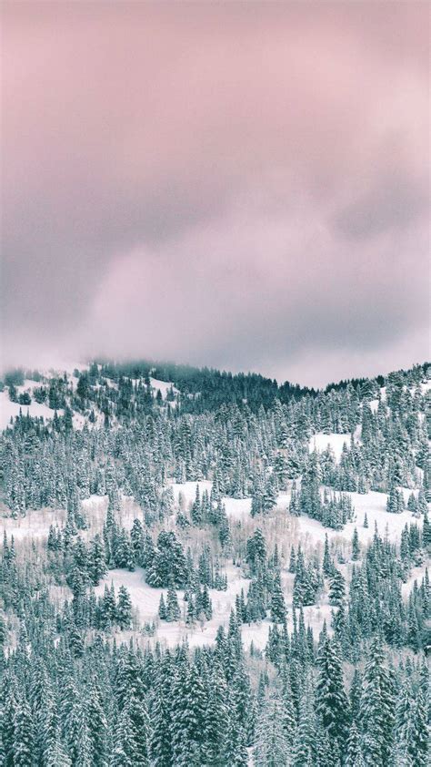 50+ Gorgeous Free Winter Wallpapers For IPhone (2024)