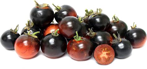 Indigo Rose Cherry Tomato Information and Facts