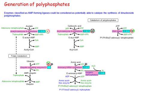 Generation of polyphosphates