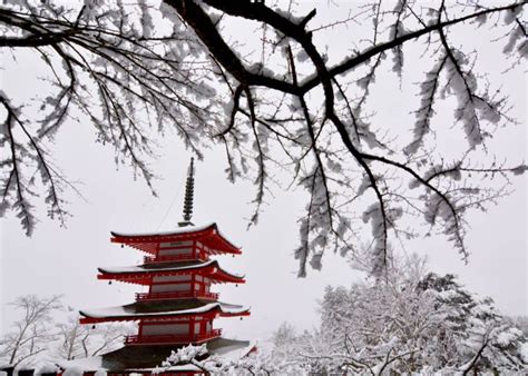 Complete Guide To Visiting Japan In February 2023: Weather, What To See ...