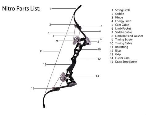 An Illustration of the Different Parts of a Genesis Bow