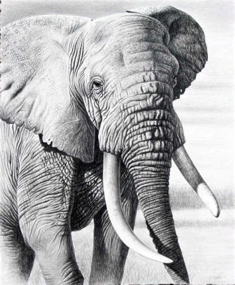 most beautiful black and white art in the world - - Yahoo Image Search ...