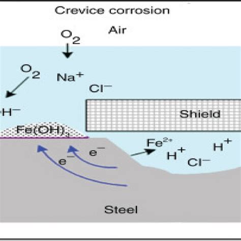 General and Pitting corrosion [56] | Download Scientific Diagram