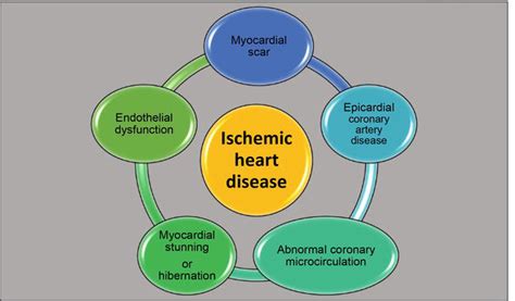 Ischemic Heart Disease | IntechOpen