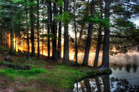 Whispering Pines 2 Photograph by Brook Burling - Fine Art America