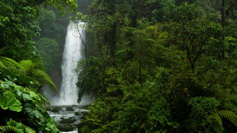 Waterfall in the Costa Rican rainforest [6000 x 3376] [OC] : r/EarthPorn