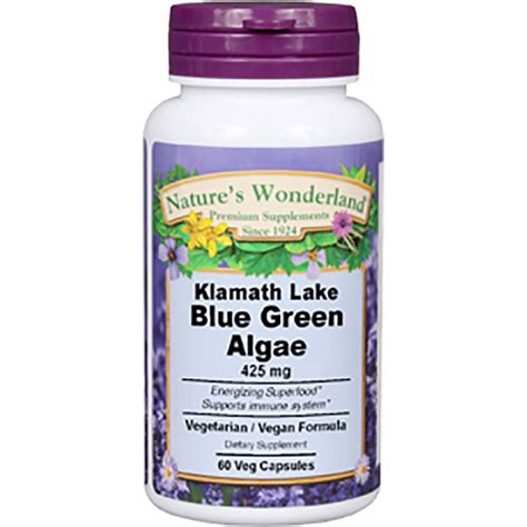 Blue Green Algae – 425 mg, 60 Veg Capsules (Nature’s Wonderland) – Homeward Publishing Ministries