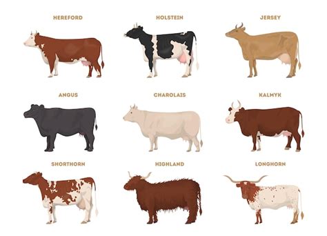 Cattle field Vectors & Illustrations for Free Download | Freepik