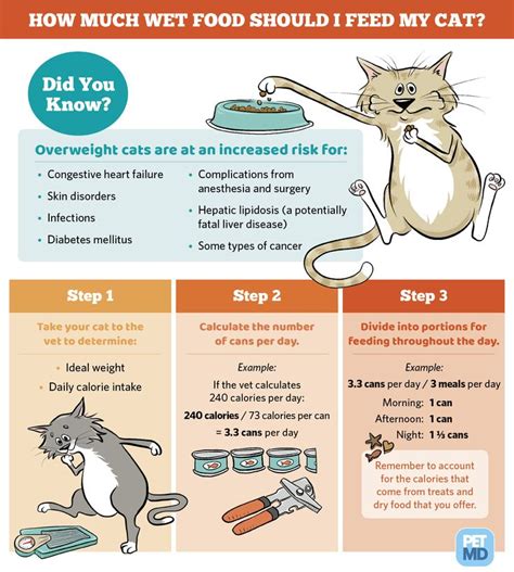 Calculating How Much Wet Food to Feed a Cat Guide | Canned cat food, Cat feeding, Kitten food