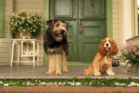 Lady and the Tramp Disney Plus Review: Should You Stream It? | Tom's Guide