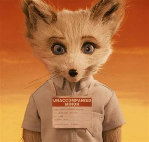 Kristofferson | Fantastic Mr.Fox Wiki | FANDOM powered by Wikia