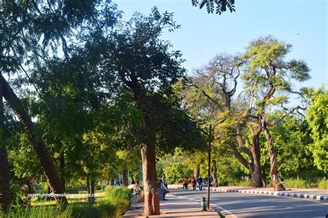 The Mandore Gardens of Jodhpur - A Revolving Compass...