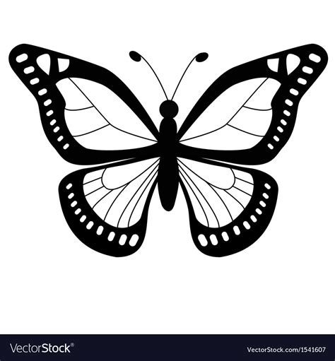 Butterfly Royalty Free Vector Image - VectorStock