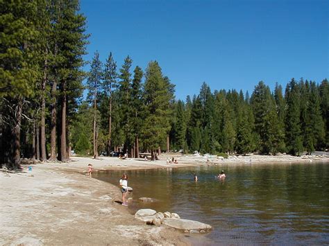 Pinecrest Lake | Pinecrest lake, Pinecrest, California camping