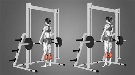 Smith Machine Calf Raise: Benefits, Muscles Worked, and More - Inspire US