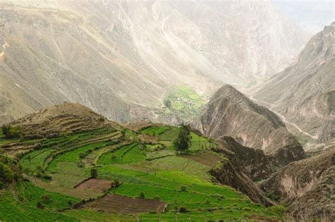 Canyon Cotahuasi, Peru Stock Images - Image: 23315484