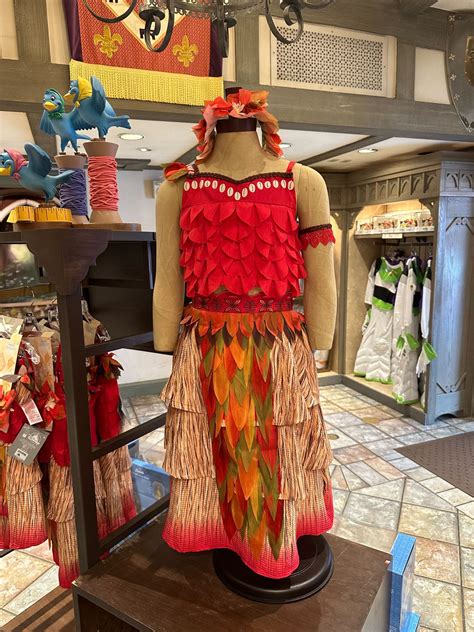 New Moana Costume Inspires Little Ones - MickeyBlog.com