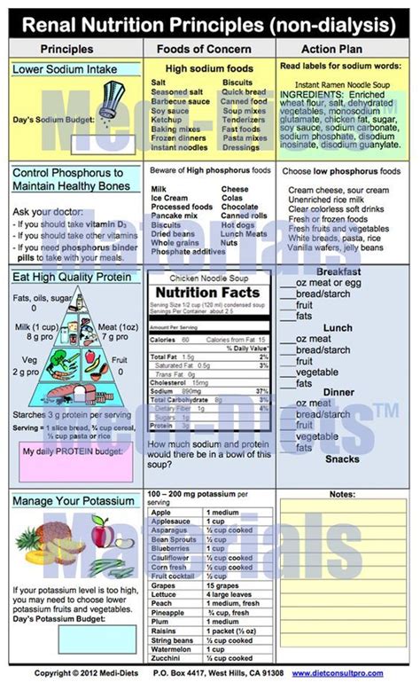 Renal Nutrition Principles (non-dialysis): Healthy Kidney Diet, Healthy ...