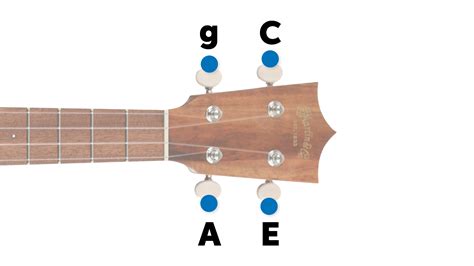 Ukulele Tuning Guide – How to Tune a Ukulele | Sweetwater