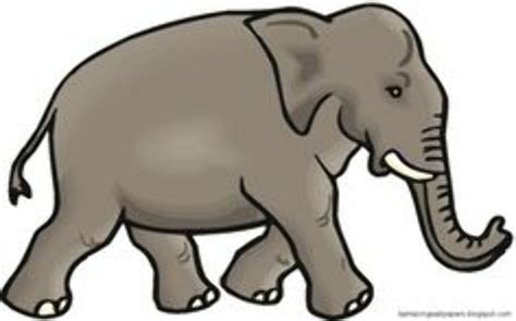 Download High Quality elephant clipart realistic Transparent PNG Images ...