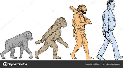 Human Evolution Walking Drawing Stock Vector Image by ©patrimonio ...