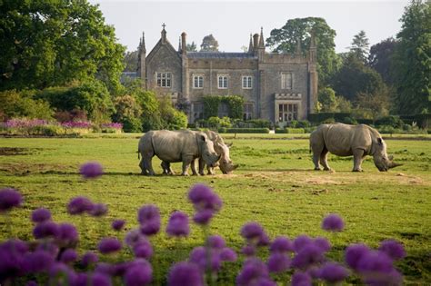 Cotswold Wildlife Park