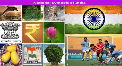 National Symbols Of India - Read Everything