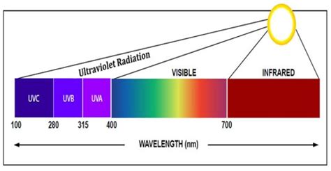 About Ultraviolet Radiation - Assignment Point