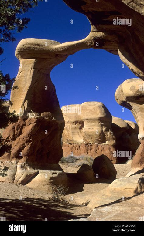 Metate Arch Devils Garden Grand Staircase Escalante National Monument ...