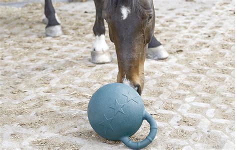 Equine Toys | Wow Blog