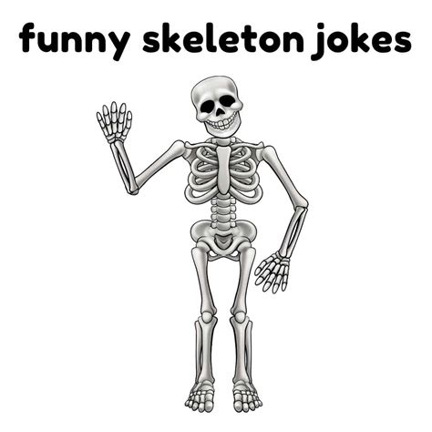 30+ Skeleton Jokes That’ll Tickle Your Funny Bone - Box of Puns