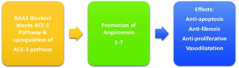 Benefi cial Eff ect of RAAS blockers on COVID-19 | Download Scientific Diagram