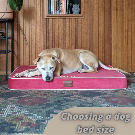 Tips On Choosing The Right Dog Bed Size - Rover Pet Products