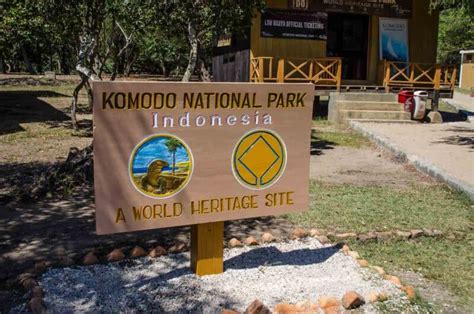 Looking for Komodo Dragons in Komodo National Park | Getting Stamped